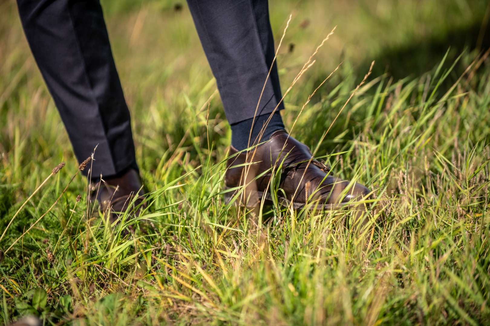 Gras Omgeving